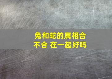 兔和蛇的属相合不合 在一起好吗